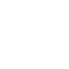 Regional footprint icon